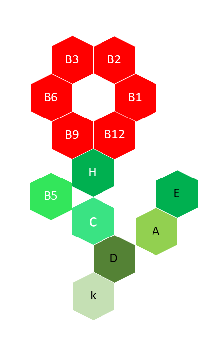 فيتامينات وأملاح معدنيّة